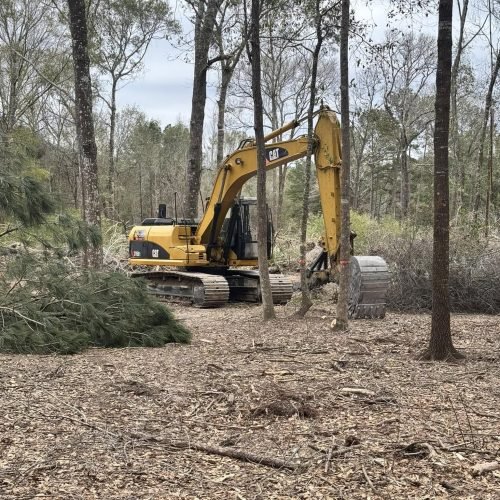 480592773_604441822356606_1849518616652424122_n