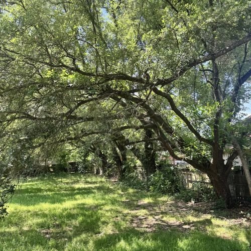 493210388_661431873324267_2216501603164728949_n