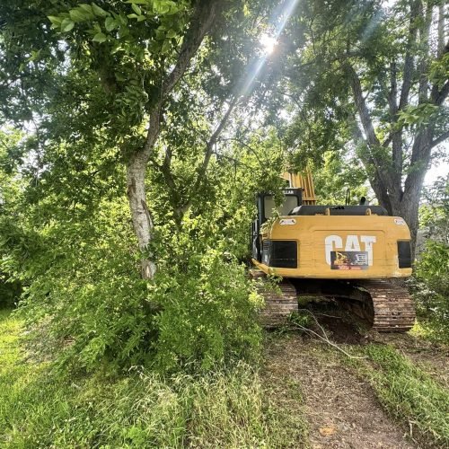 493589736_656441753823279_2000528272413661672_n