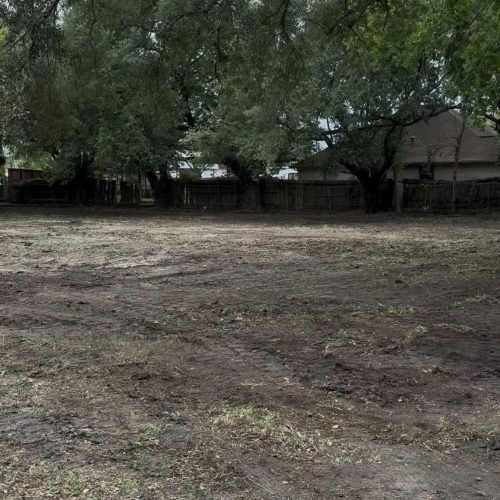 495055141_661435076657280_209219476423922180_n