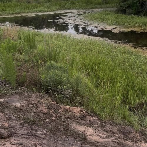 497456667_667441262723328_8815805526768603120_n