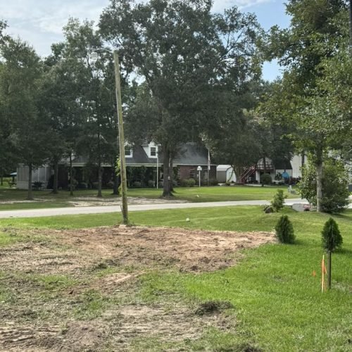 528587344_731137469687040_8865977133075224015_n