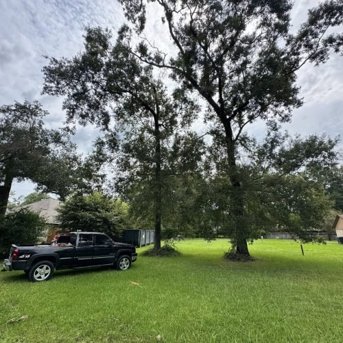 528662179_731137986353655_4230422337521416139_n