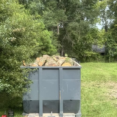 529277243_731137949686992_2178595731202518412_n