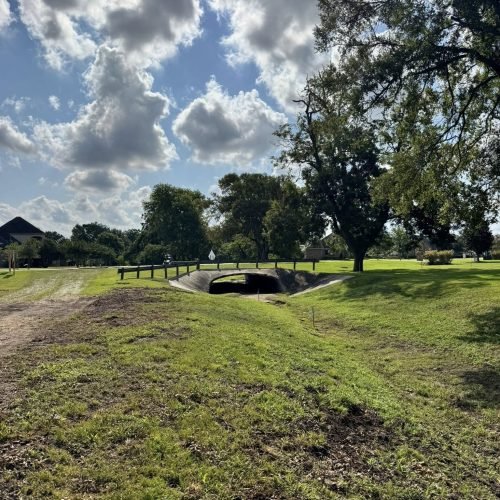 543355610_755179847282802_914326645320045922_n