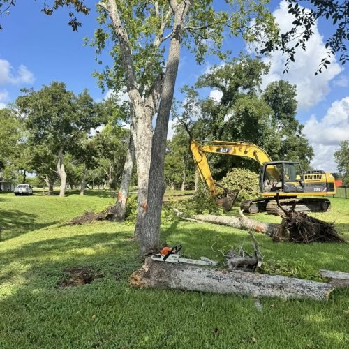 545154520_755179840616136_2792762245817032642_n