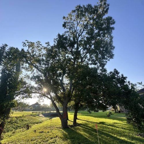 545397731_755179983949455_4369694290165293443_n