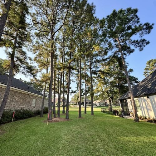 547989299_764752116325575_1713994879306821397_n