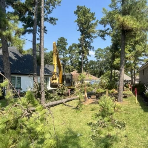 550730029_764750799659040_665824262441772282_n