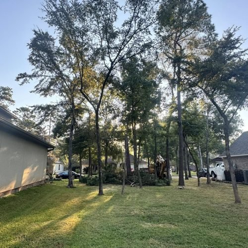 556772716_777291518404968_8899276799952267087_n