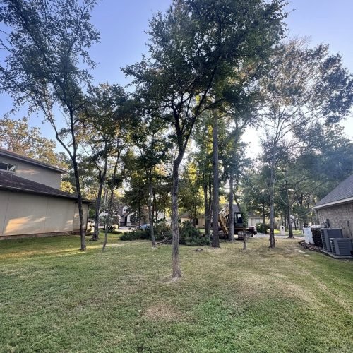 557640086_777291528404967_659875163045485125_n